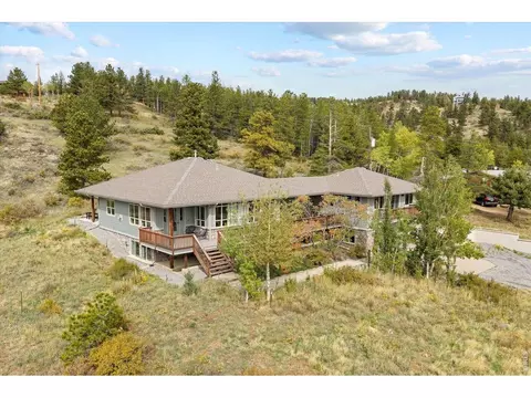 131 Hurricane Hill Dr, Nederland, CO 80466