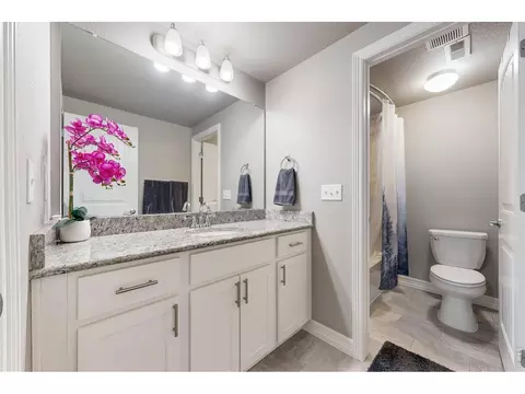 Bath - 1799 Tinkers Dr, Windsor, CO 80550 photo 8 of 8