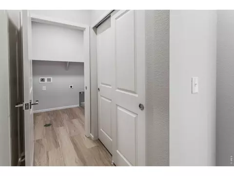 Other - 734 Trumpet Ct, Windsor, CO 80550 photo 7 of 11