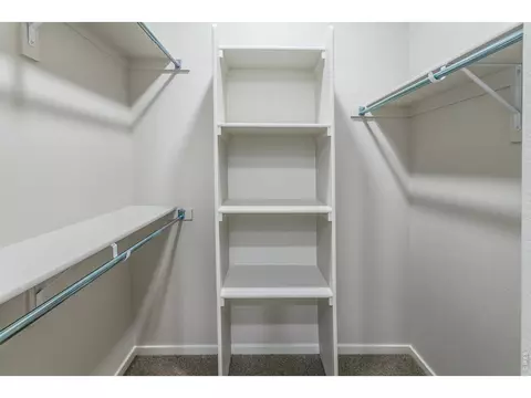 Other - 734 Trumpet Ct, Windsor, CO 80550 photo 8 of 11