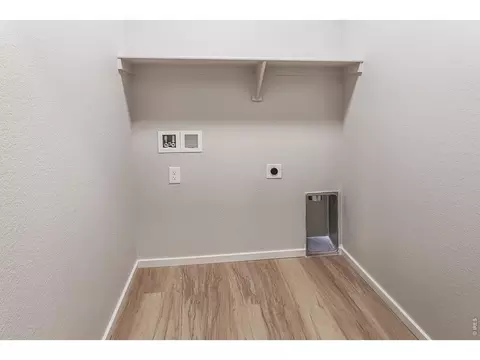 Other - 734 Trumpet Ct, Windsor, CO 80550 photo 4 of 11