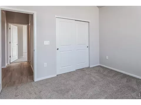 Bedroom - 734 Trumpet Ct, Windsor, CO 80550 photo 2 of 5