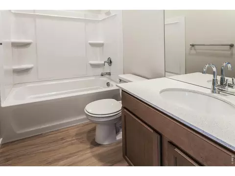 Bath - 734 Trumpet Ct, Windsor, CO 80550 photo 1 of 5