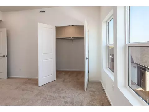 Other - 955 Trumpet Ln, Windsor, CO 80550 photo 2 of 6