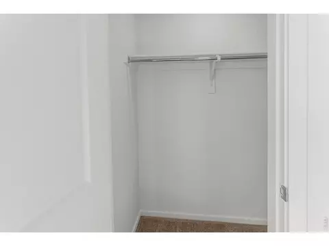 Other - 955 Trumpet Ln, Windsor, CO 80550 photo 3 of 6