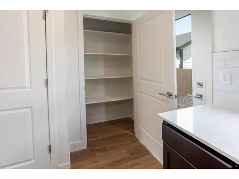 Other - 955 Trumpet Ln, Windsor, CO 80550 photo 1 of 6