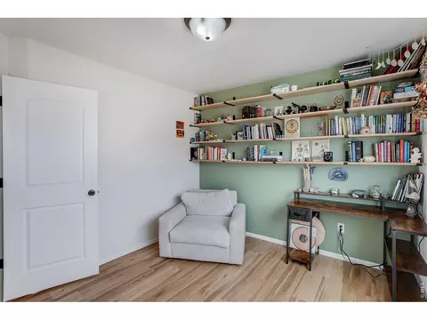 Other - 928 Barasingha St, Severance, CO 80550 photo 2 of 4