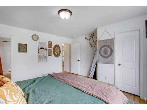 Bedroom - 928 Barasingha St, Severance, CO 80550 photo 5 of 6
