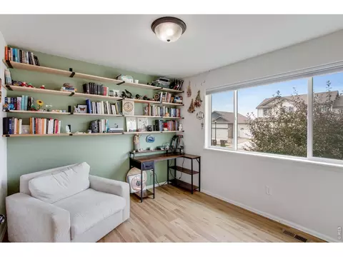 Other - 928 Barasingha St, Severance, CO 80550 photo 1 of 4