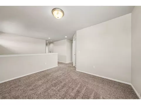 Other - 961 Ashbrook Dr, Windsor, CO 80550 photo 4 of 10