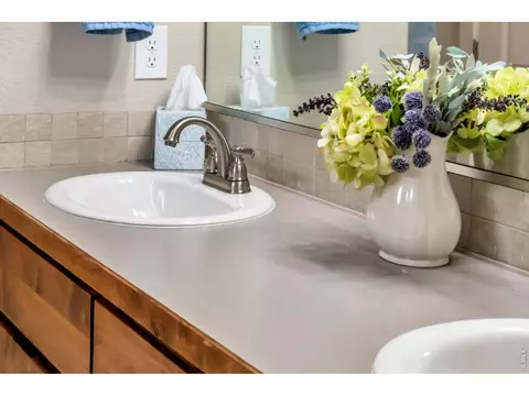Bath - 83 Evans St, Windsor, CO 80550 photo 4 of 5
