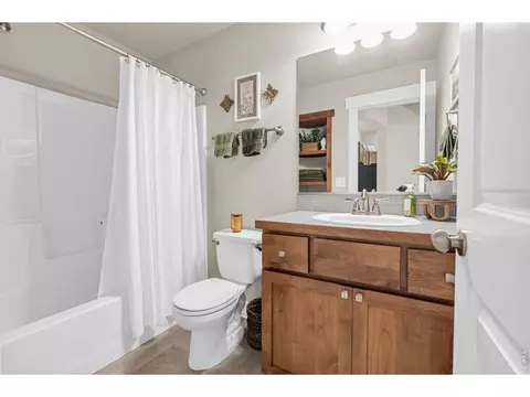 Bath - 83 Evans St, Windsor, CO 80550 photo 5 of 5