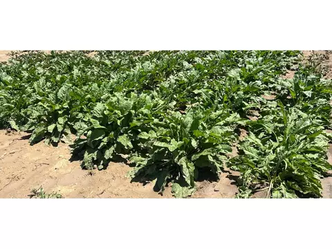 0 Wcr 23, Windsor, CO 80550 photo 10