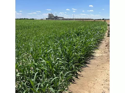 0 Wcr 23, Windsor, CO 80550 photo 6