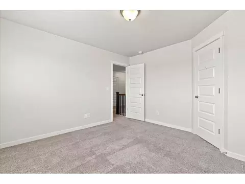 Bedroom - 1123 Ibex Dr, Severance, CO 80550 photo 3 of 4