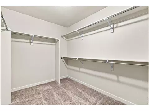 Other - 1123 Ibex Dr, Severance, CO 80550 photo 6 of 8