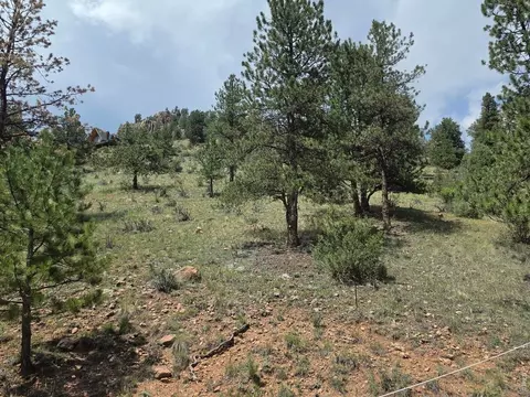 135 Brookside Dr, Bailey, CO 80421 photo 7