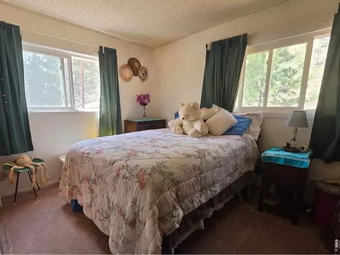 135 Brookside Dr, Bailey, CO 80421 photo 3