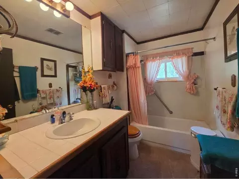 135 Brookside Dr, Bailey, CO 80421 photo 4