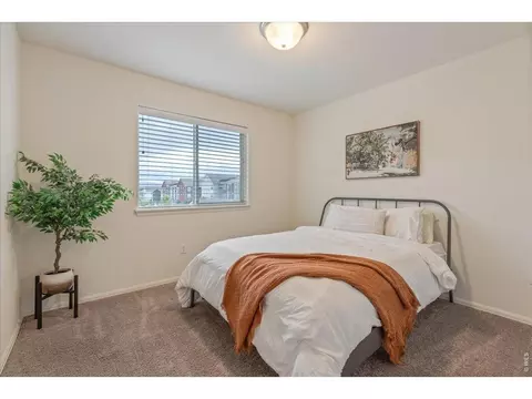 Bedroom - 1827 Abundance Dr, Windsor, CO 80550 photo 6 of 7