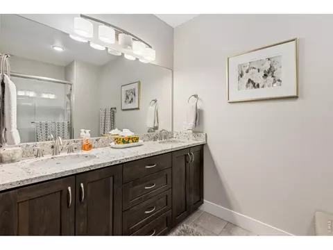 Bath - 969 Pitch Fork Dr, Windsor, CO 80550 photo 5 of 6