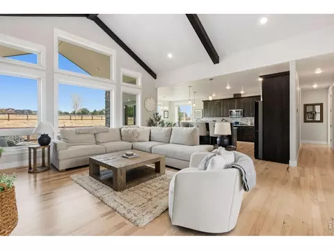 Living - 969 Pitch Fork Dr, Windsor, CO 80550 photo 1 of 6