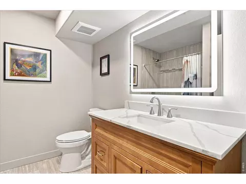 Bath - 5119 Long Dr, Timnath, CO 80547 photo 5 of 6
