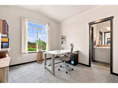 Other - 5119 Long Dr, Timnath, CO 80547 photo 4 of 12