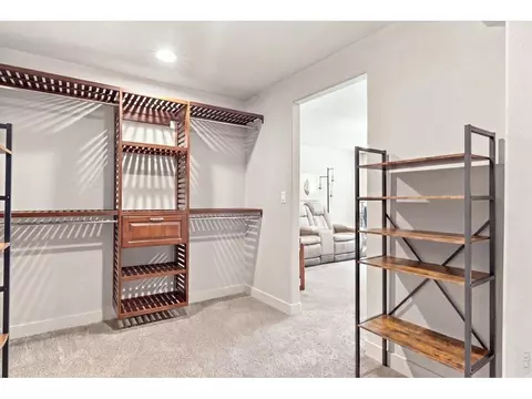 Other - 5119 Long Dr, Timnath, CO 80547 photo 9 of 12