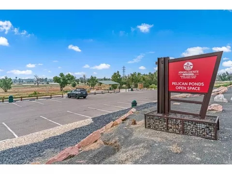 Exterior - 4438 E 95th Ct, Thornton, CO 80229 photo 9 of 9