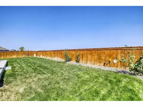 Exterior - 1252 Wild Basin Rd, Windsor, CO 80550 photo 7 of 7