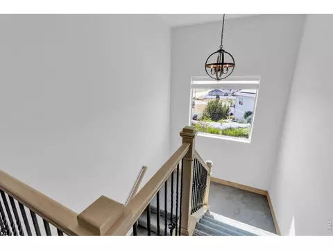 Entry Way - 1699 Corby Dr, Windsor, CO 80550 photo 3 of 4