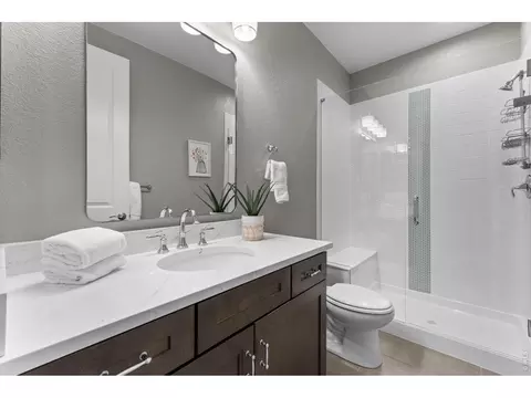 Bath - 5774 Riverbluff Dr, Timnath, CO 80547 photo 6 of 7