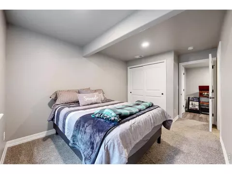 Bedroom - 1509 Cirque Valley Ln, Severance, CO 80550 photo 11 of 11