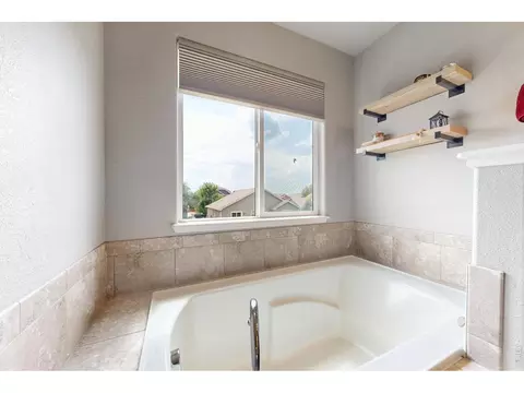 Bath - 1509 Cirque Valley Ln, Severance, CO 80550 photo 5 of 7
