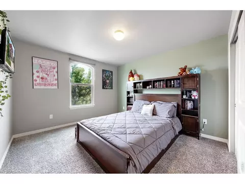 Bedroom - 1509 Cirque Valley Ln, Severance, CO 80550 photo 9 of 11