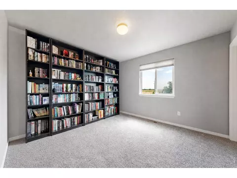 Bedroom - 1509 Cirque Valley Ln, Severance, CO 80550 photo 6 of 11