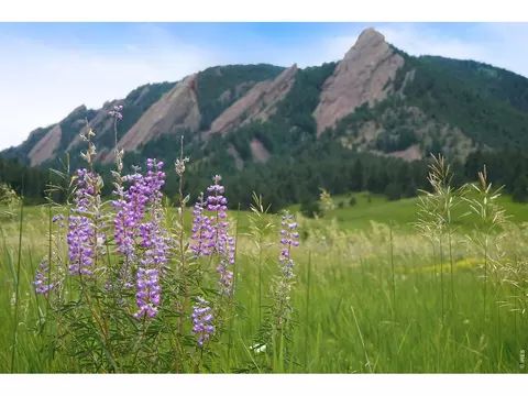 Other - 1344 6th St, Boulder, CO 80302 photo 3 of 4