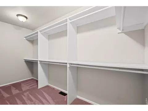 Other - 897 Shade Tree Dr, Windsor, CO 80550 photo 2 of 8
