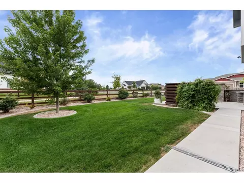 Exterior - 897 Shade Tree Dr, Windsor, CO 80550 photo 4 of 6