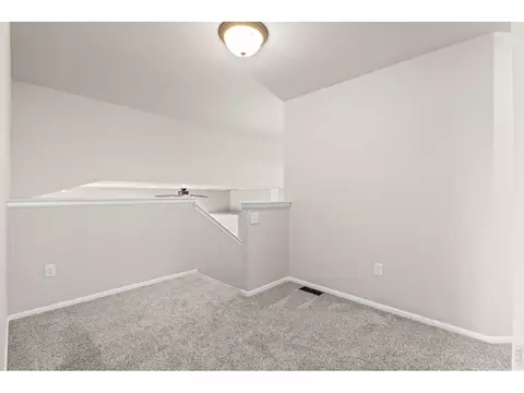 Other - 897 Shade Tree Dr, Windsor, CO 80550 photo 3 of 8
