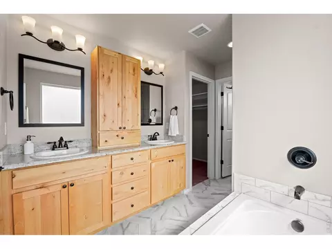 Bath - 897 Shade Tree Dr, Windsor, CO 80550 photo 1 of 4