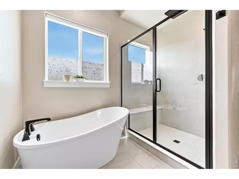 Bath - 870 Loess Ln, Windsor, CO 80550 photo 6 of 7