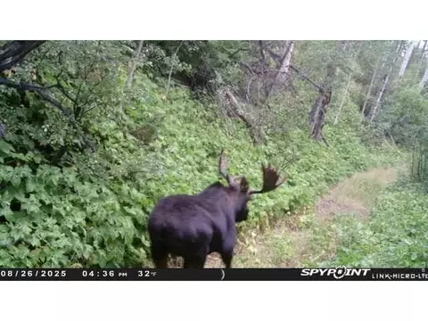 Undisclosed, Parshall, CO 80468 photo 6