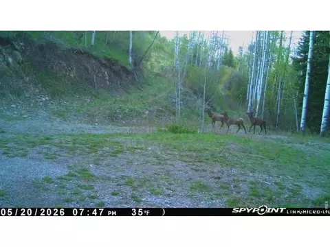 Undisclosed, Parshall, CO 80468 photo 3