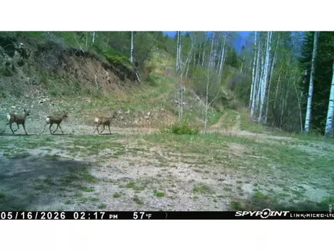 Undisclosed, Parshall, CO 80468 photo 4