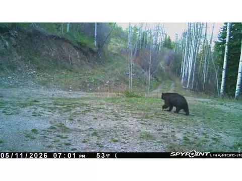 Undisclosed, Parshall, CO 80468 photo 2