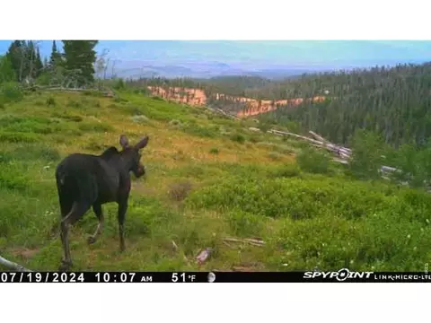 Undisclosed, Parshall, CO 80468 photo 5