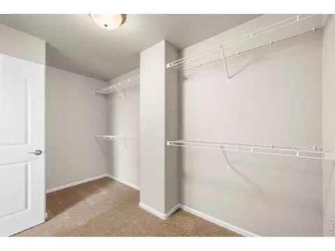 Other - 1838 Rise Dr, Windsor, CO 80550 photo 6 of 8