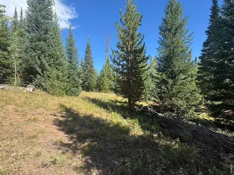 Exterior - 67 Alpine Ln, Walden, CO 80430 photo 4 of 13